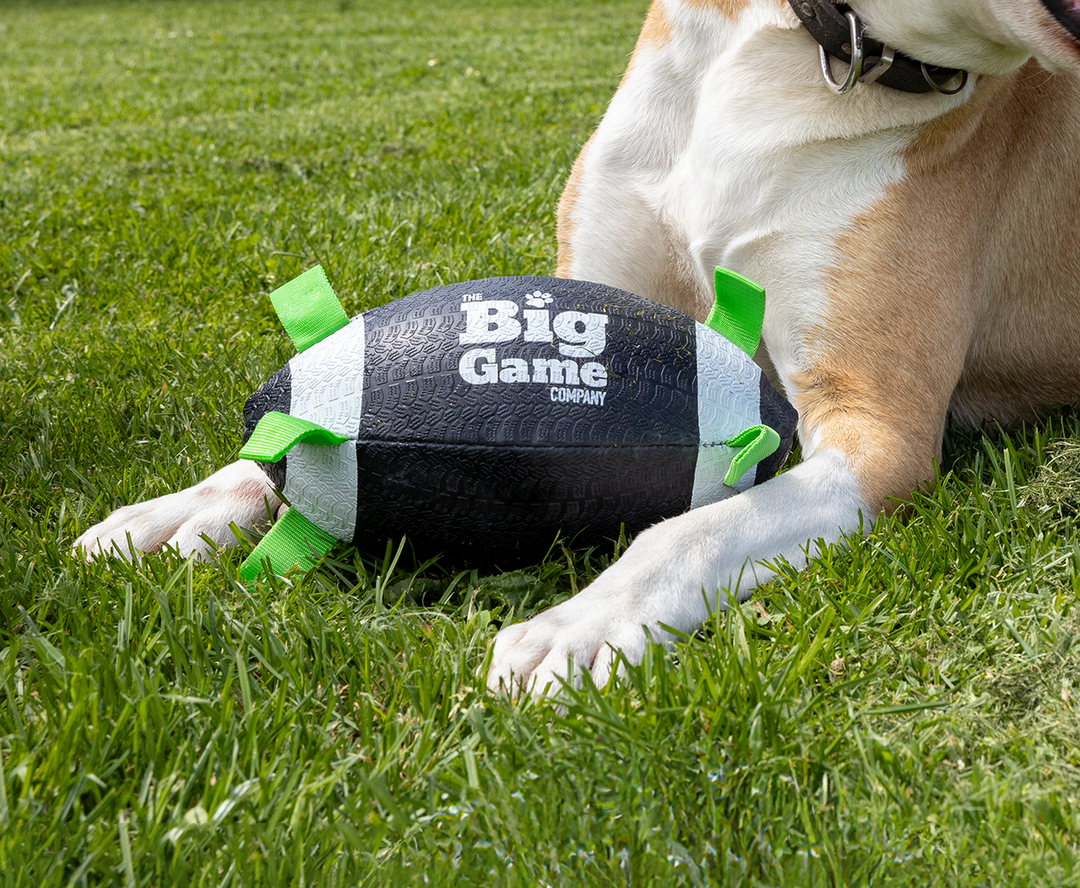 Dog Games