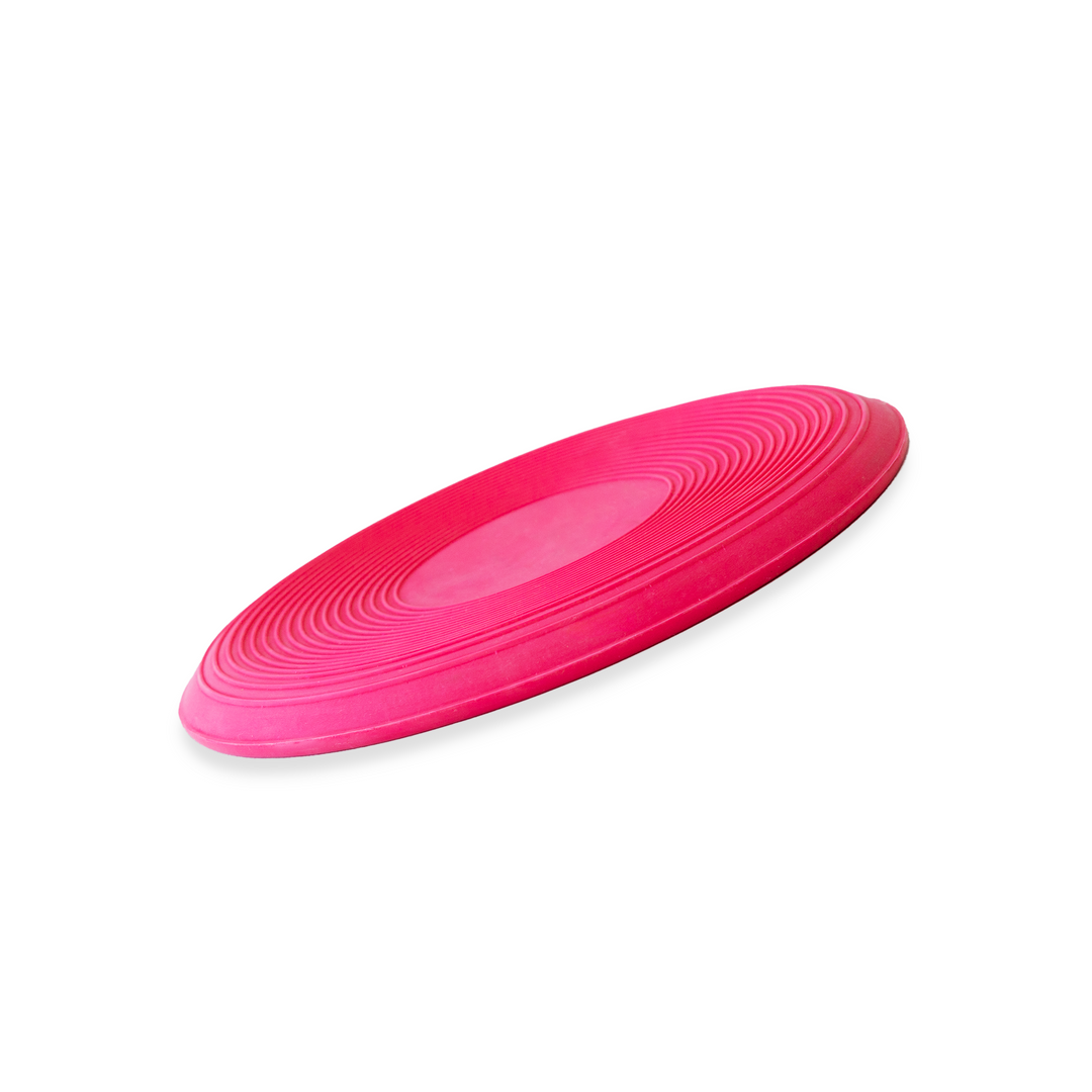 Dog Frisbee Large