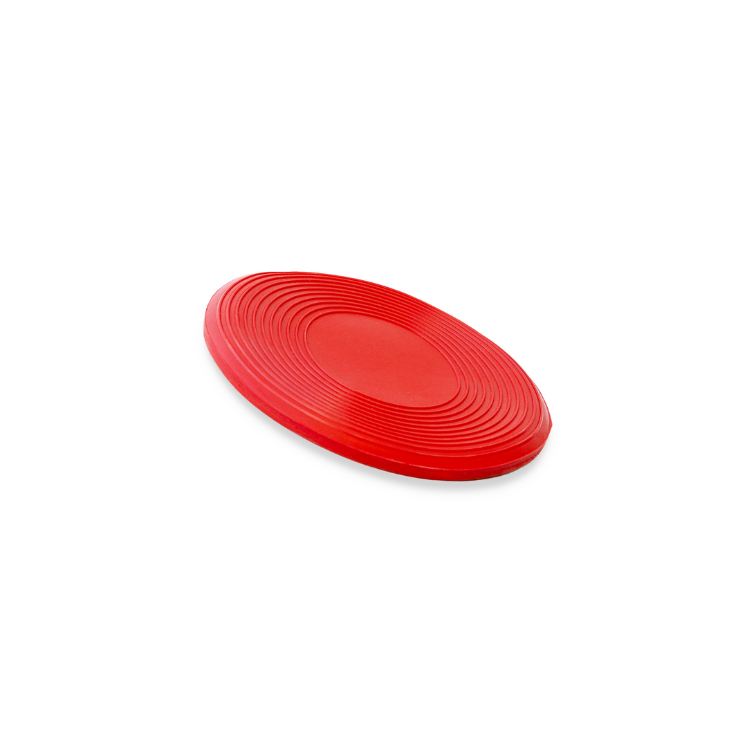 Dog Frisbee Small