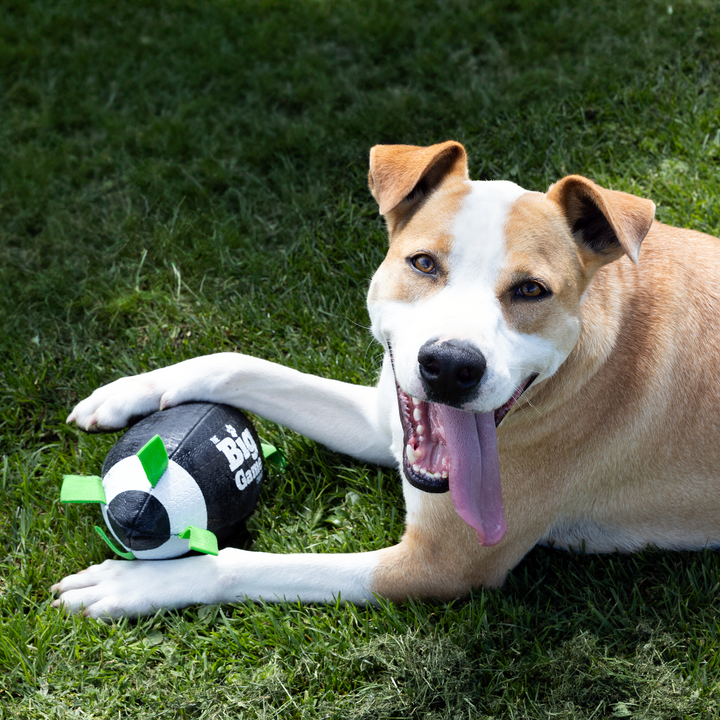 Dog American Football-5.5"