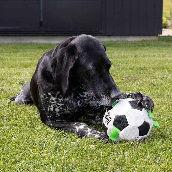 Dog Soccer-6.5"