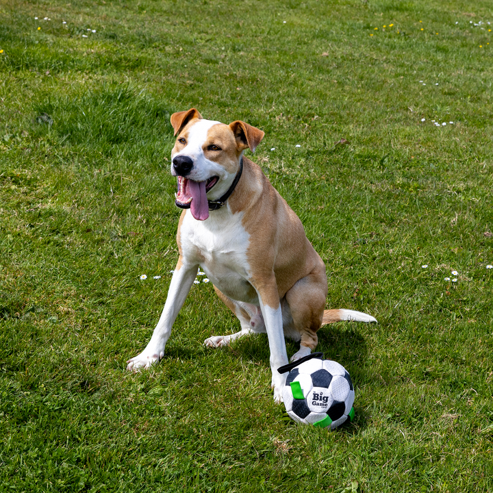 Dog Soccer-6.5"