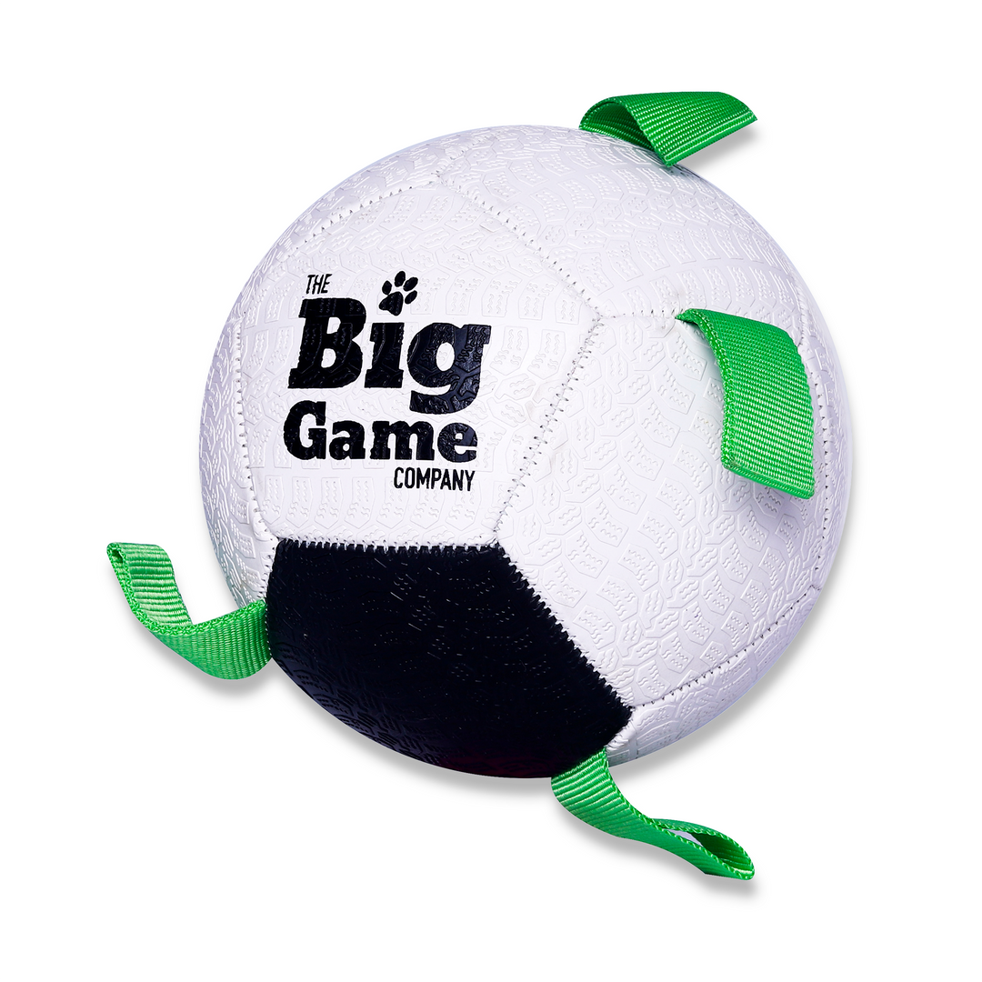 Dog Soccer-5"