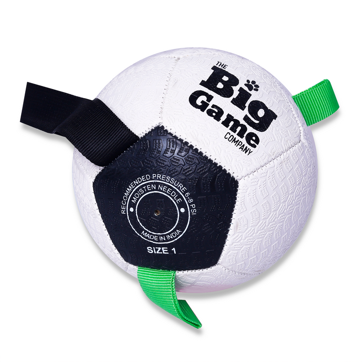 Dog Soccer-5"
