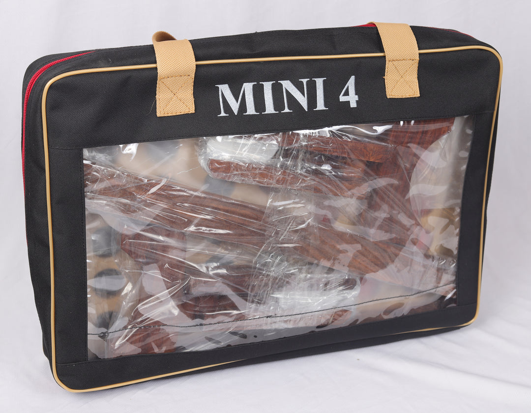 Mini 4