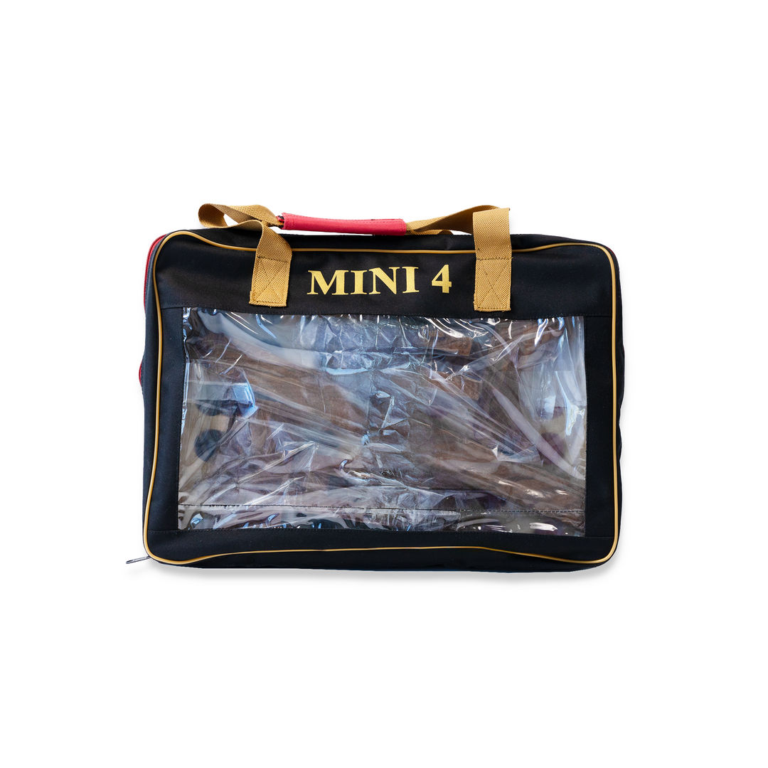 Mini 4