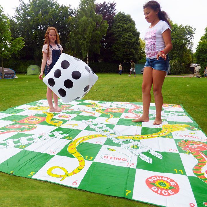 Giant Snakes & Ladders