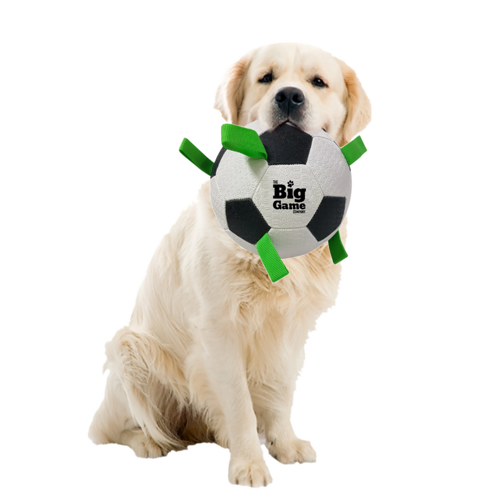 Dog holding a soccer ball toy with 'The Big Game' branding on a white background
