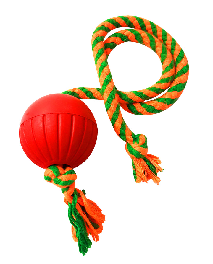 Dog Ball & Rope Toy 219gm