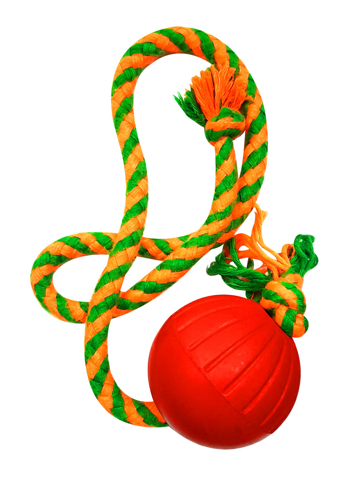 Dog Ball & Rope Toy 219gm