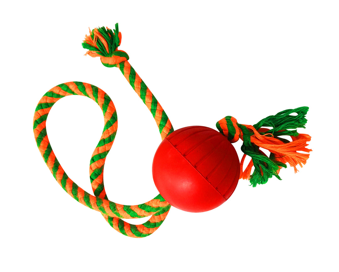 Dog Ball & Rope Toy 219gm